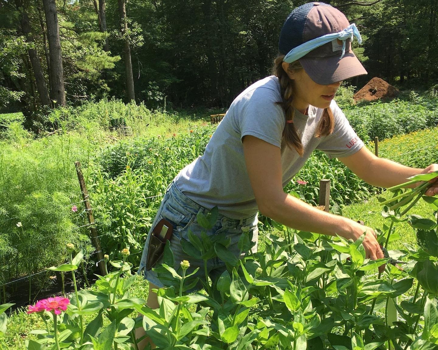 A woman tending to a vibrant garden, carefully pruning plants and surrounded by lush greenery and colorful flowers on a sunny day.