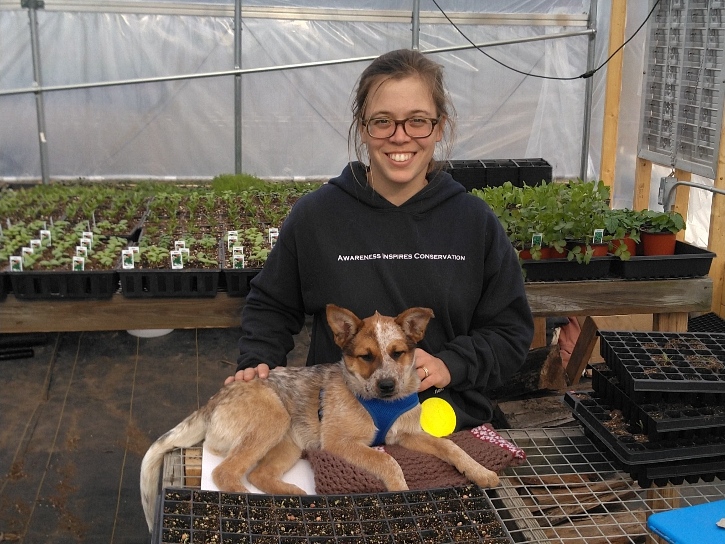 Young woman smiling in a greenhouse, sitting at a table with a dog lying on her lap, surrounded by trays of seedlings and potted plants, promoting conservation awareness.